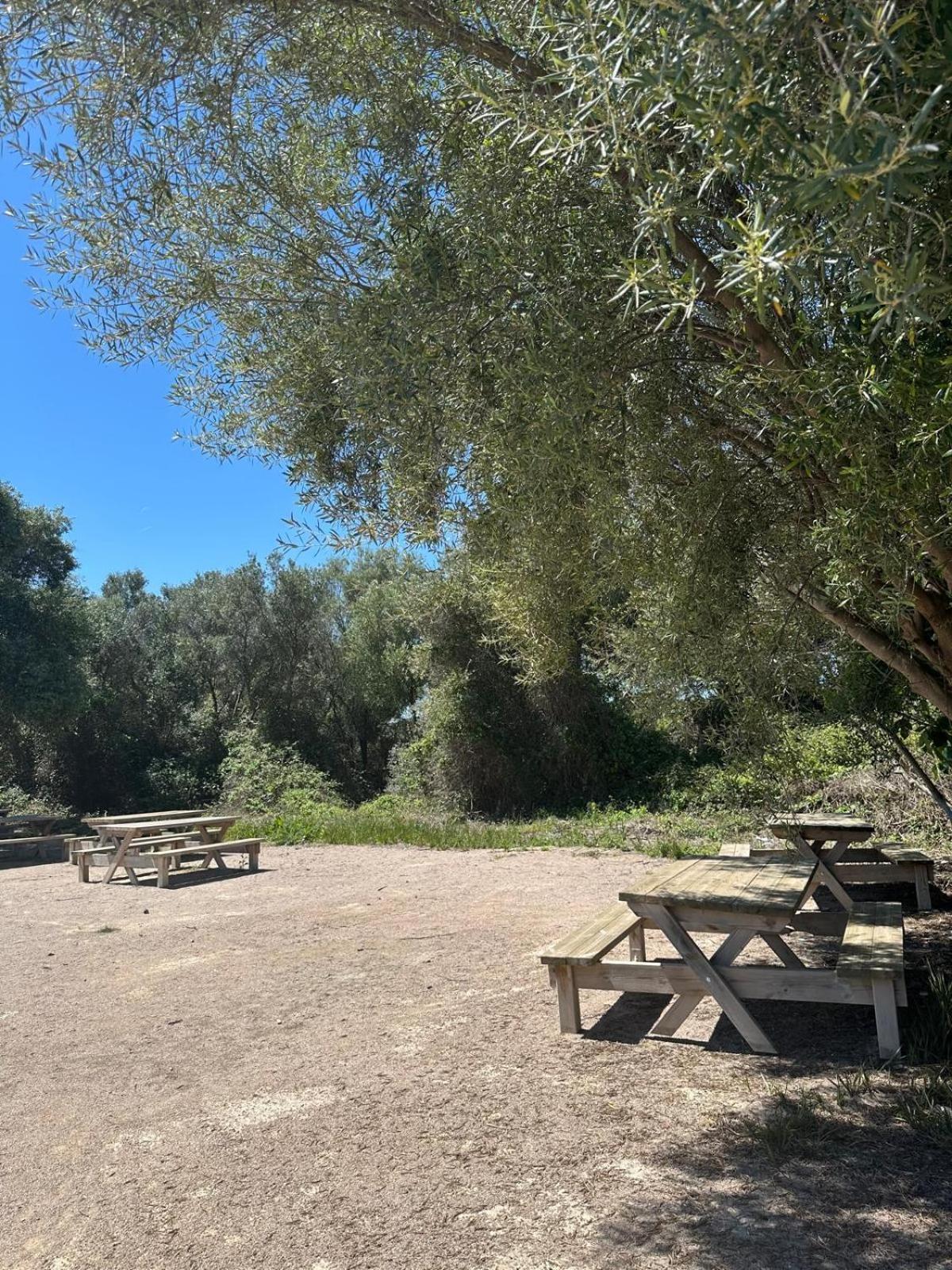 Apartamento Barbacoa, Piscina Y Playa Пуебла де Фарналс Екстериор снимка